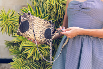Closeup woman hands with fashion luxury snakeskin python handbag. Outdoors, Bali island.