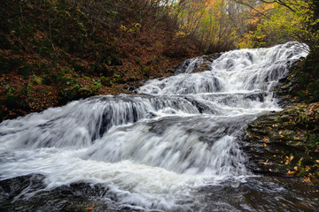 Fototapeta na wymiar 群馬県長野原町　秋の魚止めの滝と紅葉