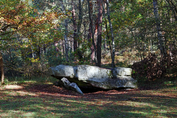 dolman de la pierre ardoue en forêt de Rambouillet