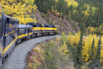 Herbst in Alaska-Zugfahrt © bummi100
