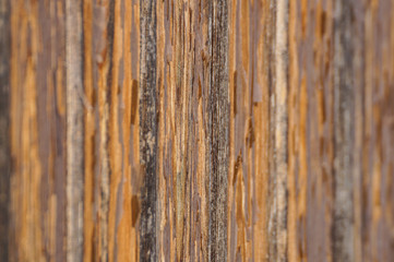 Close up of wooden jetty . wooden board for walk . selective focus