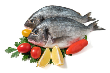 Raw fresh dorado fish with vegetables. Healthy food. Isolated on white background.