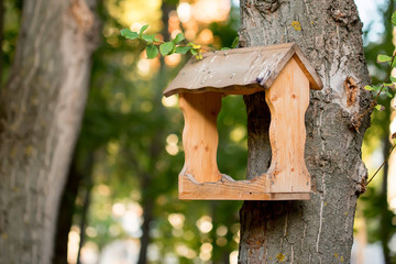 Birds house feeder