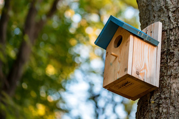 Red funny birdhouse