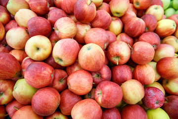 Red ripe apples on the counter market