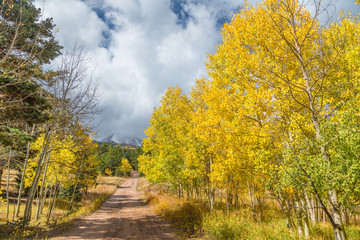 Colorado Fall