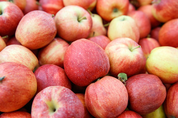 Fototapeta na wymiar Red ripe apples on the counter market