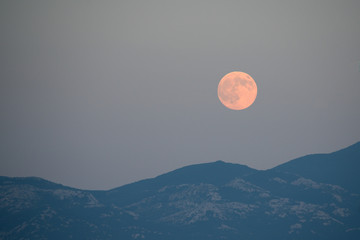 Fototapeta premium summer full moon in croatia