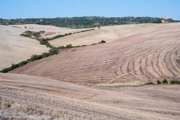 Fototapeta na wymiar Plowed field ready to be cultivated in Val d'Orcia, Tuscany