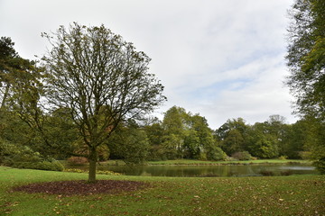 La nature en automne autour de l'étang principal du Jardin Botanique National de Belgique à Meise
