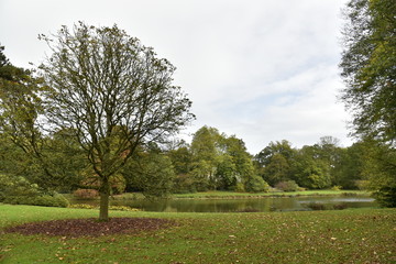 La nature en automne autour de l'étang principal du Jardin Botanique National de Belgique à Meise