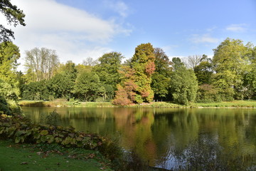 Obraz premium Effet magique des couleurs de l'automne du feuillage des arbres dans l'étang de l'Orangerie au Jardin Botanique à Meise