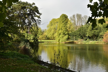 Fototapeta na wymiar Contraste magique sur fond gris à l'étang du Jardin Botanique National be Belgique à Meise