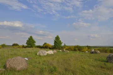 Obraz premium Aussichtspunkt auf dem Buckwitzberg