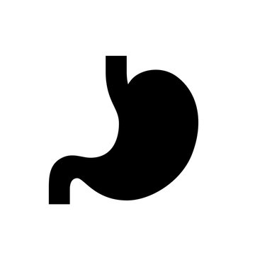 Stomach Silhouette Vector Icon