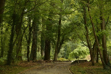 Point de lumière au bout du chemin ombragé au Jardin Botanique National de Belgique à Meise