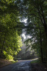 Fototapeta premium gleißendes Licht