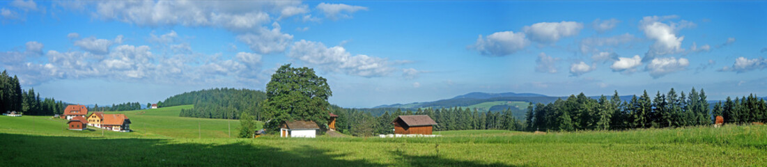 Verstreute Häuser im Schwarzwald/Landschaft im Schwarzwald  Panoramablick über Wiesen und Wälder, Berge, Täler und einzelne Häuser, wandern auf dem Fernwanderweg Westweg, blauer Himmel
