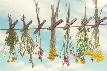 Different types of herbs dried in the shade on a rope against the blue sky. Shallow depth of field....