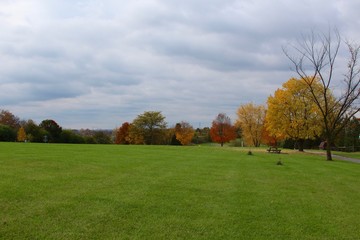 Fototapeta na wymiar The gloomy cloudy November autumn day in the park.