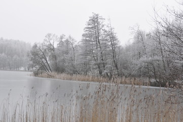 Krajobraz zimowy © Rafa
