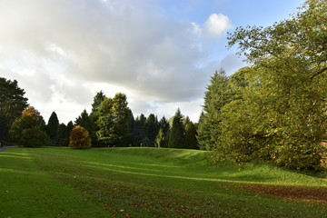 Fototapeta na wymiar Eclaircie en fin de journée sur l'une des pelouses en automne ,au Jardin Botanique National de Belgique