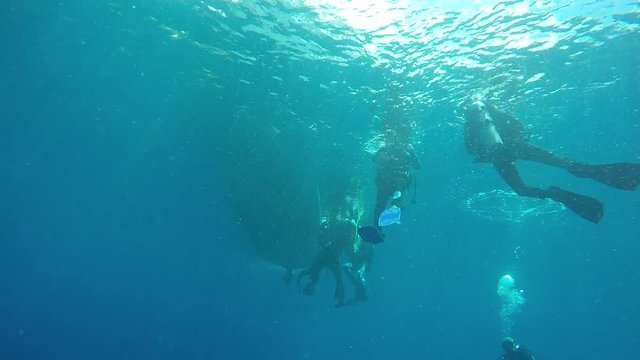 Taucher sammeln sich nach dem Tauchgang am Boot, Pintuyan, Panaon Island, Southern Leyte, Philippinen
