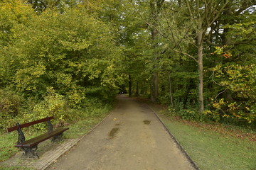 Banc le long d'un chemin sous un feuillage dense d'un des bois du Jardin Botanique National de Belgique à Meise