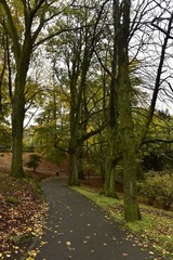 Chemin sous les arbres parfois majestueux en automne ,au parc Josaphat à Schaerbeek