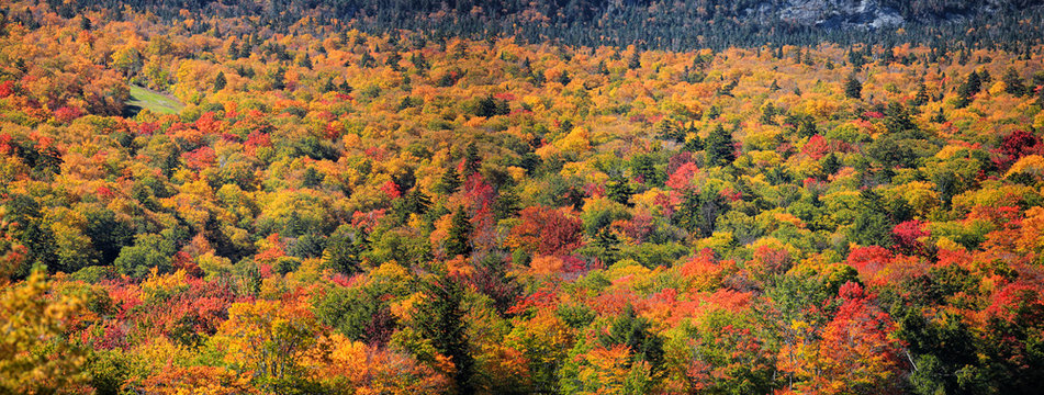 Scenic autumn landscape in New England