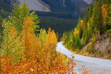 Scenic autumn drive in Yoho National park in British Columbia
