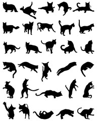 Black silhouettes  of cats on white background