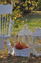 Jesienny relaks w ogrodzie © Maria