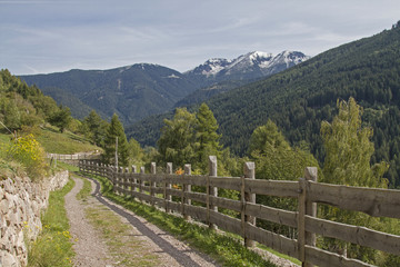 Fototapeta na wymiar Pinehochebene im Trentino