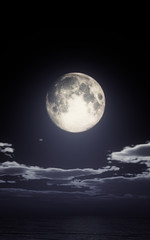 Obraz na płótnie Canvas full moon in night ocean