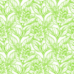 Seamless pattern with oregano.