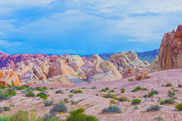 The Valley of Fire State Park, USA.