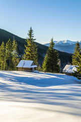 Wooden cottage in the mountains. The fir trees are covered with morning rays. Shadows from the trees on the snow. Winter in Ukrainian Carpathian Mountains.