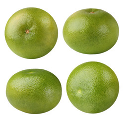 Citrus Sweetie (Pomelit, Citrus 'Oroblanco), isolated on a white background.