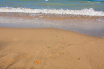 Adriatic Sea coast view. Seashore of Italy, summer sandy beach and seagull.