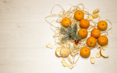 orange tangerines with a branch of a Christmas tree