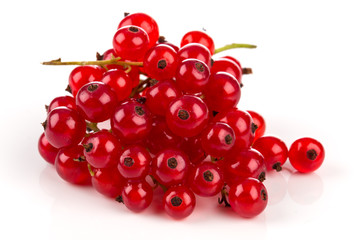 Red currant isolated