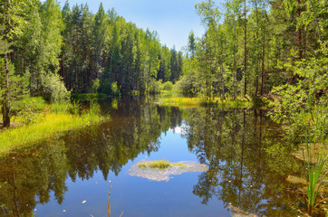 Fototapeta na wymiar Wild forest lake in Sunny day surrounded by green grass, the reflection of sky and trees in the water.