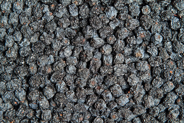 Texture of dried black aronia berries