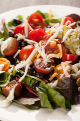 
Green spinach salad with chopped red and orange tomato, black beans, shredded cheese, avocado, and salsa on a white plate really close up shot
