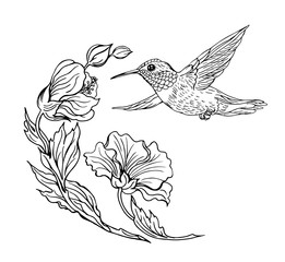 Hummingbirds and flowers, black and white contour drawing.