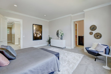 Master bedroom interior with king size bed