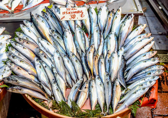 A group of fresh mackerel at seafood market.