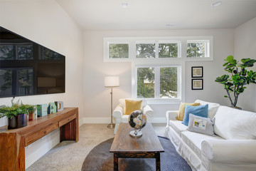 Nice family room with pure white sofas