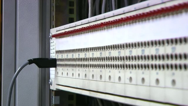 Patch panel, engineer insert-remove patch cord. Hands.